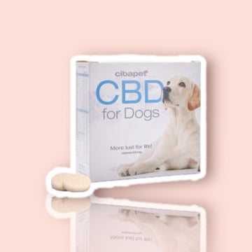 Cibdol Pastilles de CBD 4% pour chiens