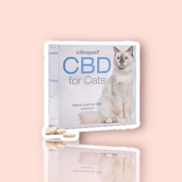 Cibdol Pastilles de CBD 4% pour chats
